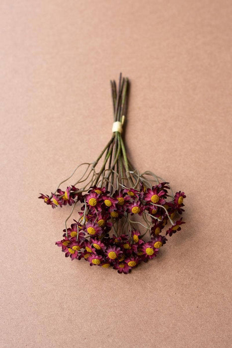 Burgundy Chamomile Bundle