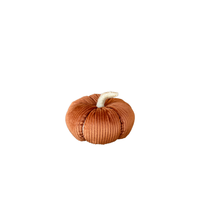 Med. Rust Corduroy Pumpkin