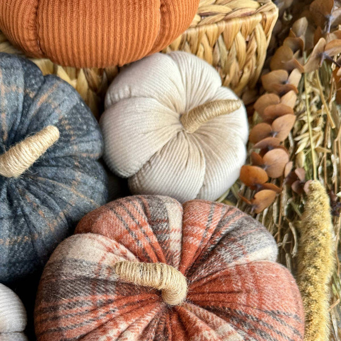 Med. Cream Corduroy Pumpkin