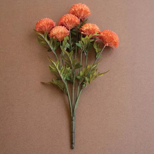 Orange Ball Dahlias