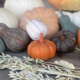 Wide Orange 3D Carved Pumpkin