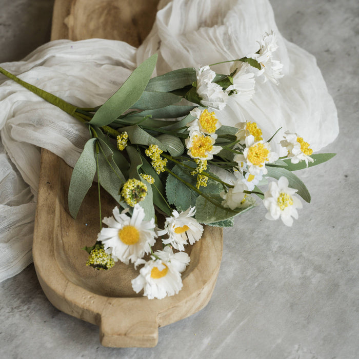 White Paper Daisy Bush