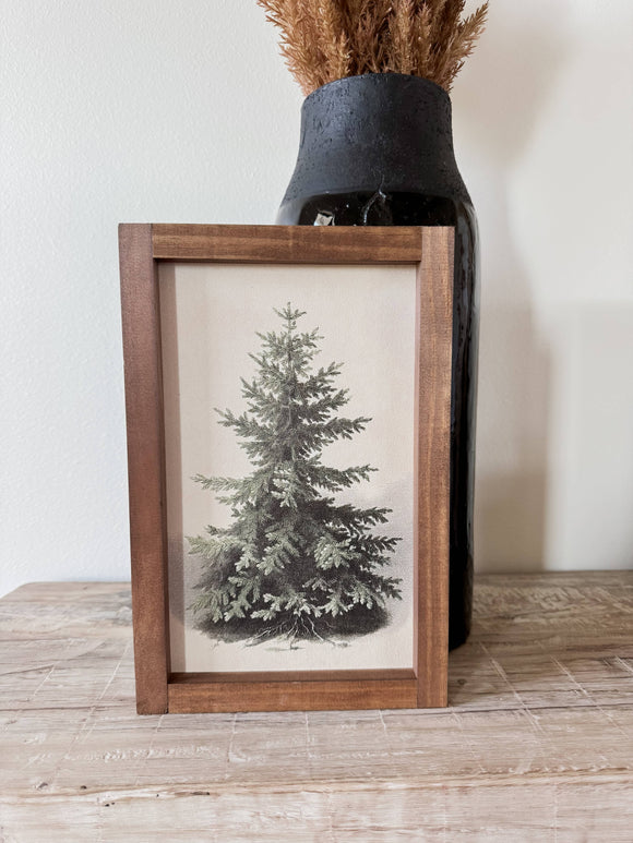 Evergreen Vintage Print | Framed Wall Art