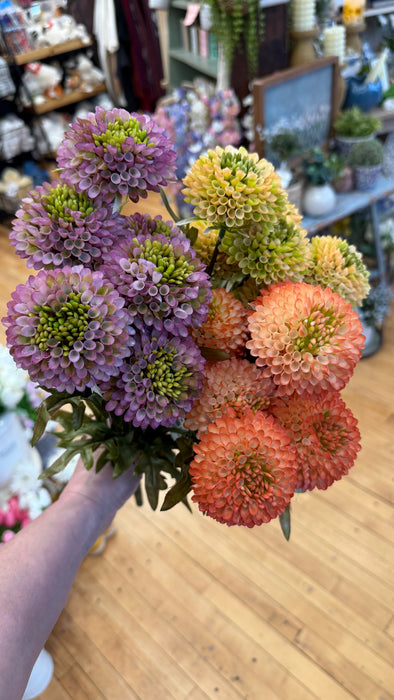 Yellow Ball Dahlias