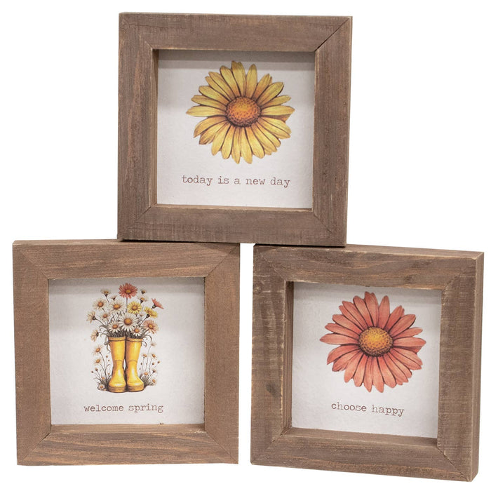 Daisy Spring Framed Sign