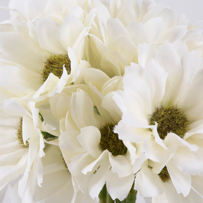 White Daisy Bouquet