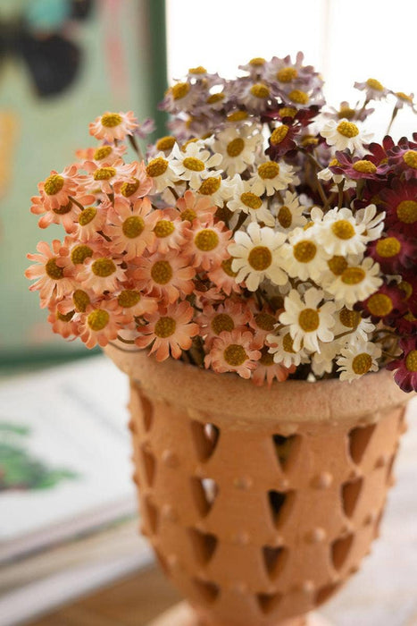 Burgundy Chamomile Bundle