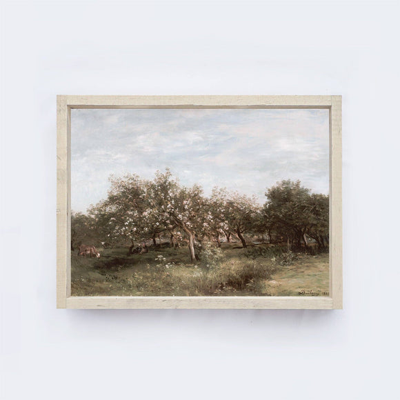 Apple Orchards | Vintage Print Framed
