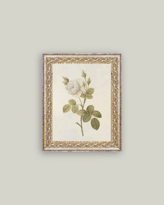 Misty Rose Framed Antique Art