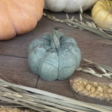 Wide Green 3D Carved Pumpkin