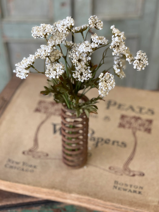 Cream Fennel Flower Bundle