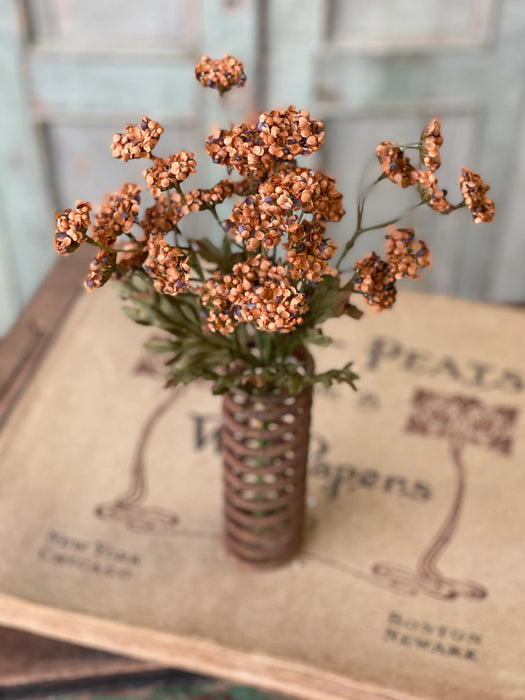 Orange Fennel Flower Bundle