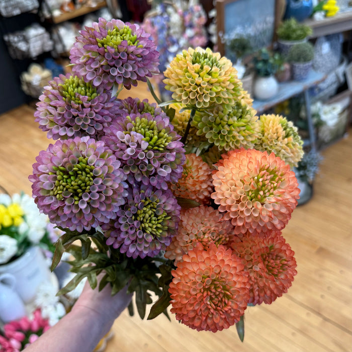 Orange Ball Dahlias