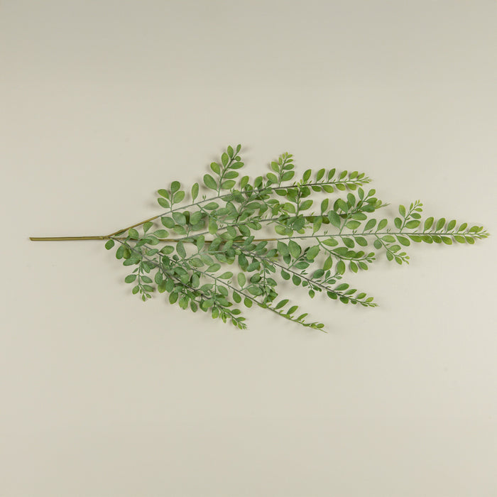 Dusty Ruscus Leaf Hanging Vine