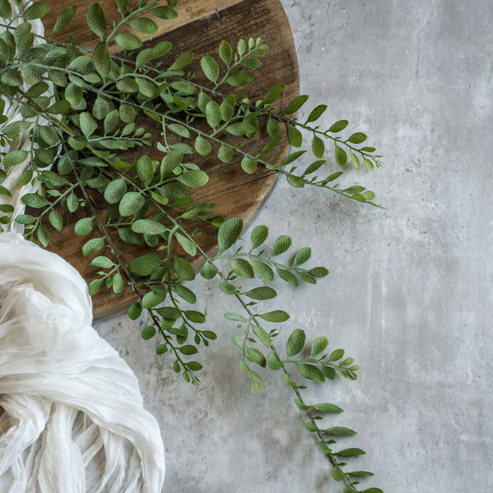 Dusty Ruscus Leaf Hanging Vine