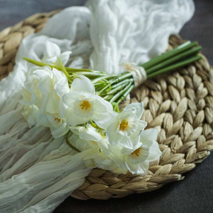 White Daffodil Bundle