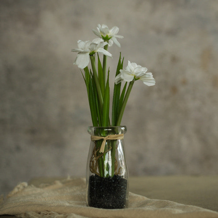 White Potted Daisy 8.25"