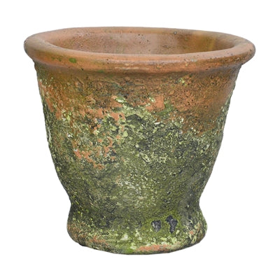 Rustic Green Flared Planter