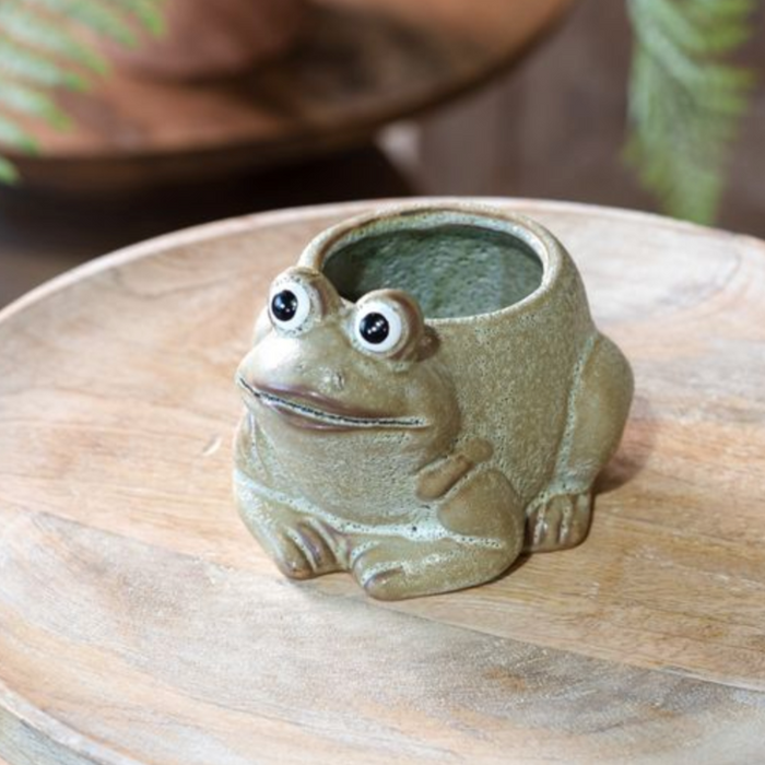 Frog Ceramic Planter