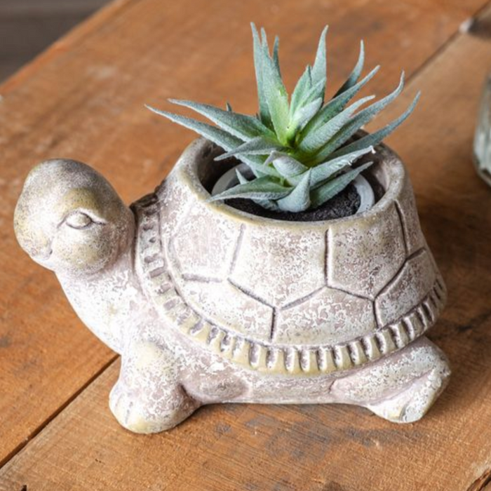 Turtle Cement Planter