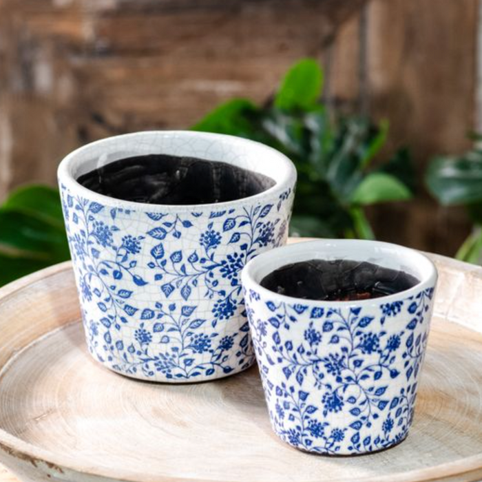 Blue Berry Leaf Pot