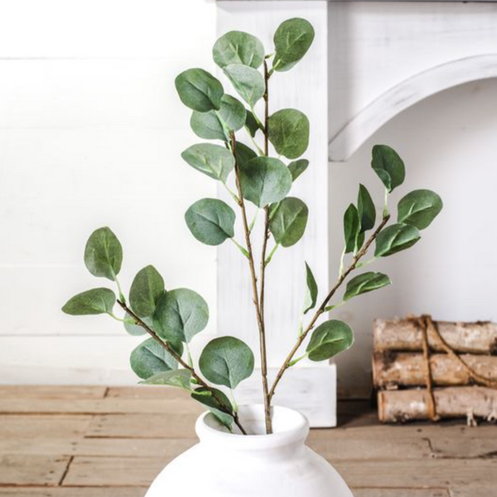 Eucalyptus Spray IN STORE PICKUP ONLY