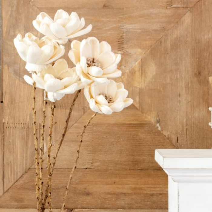 Dried White Poppy Flower IN STORE PICKUP ONLY