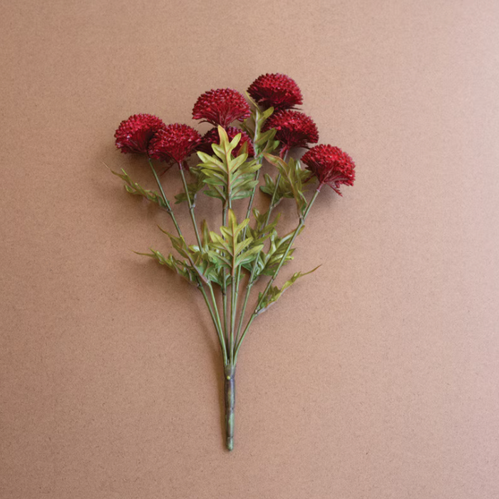 Red Ball Dahlias