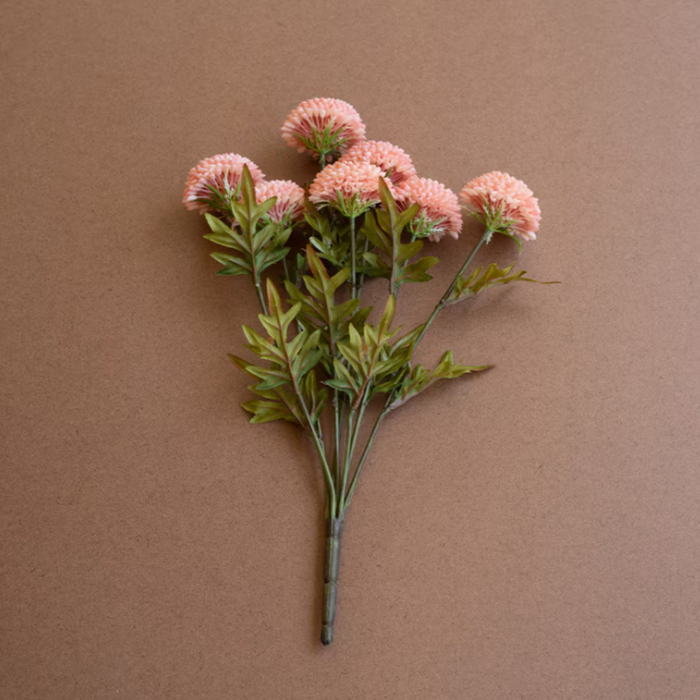 Pink Ball Dahlias