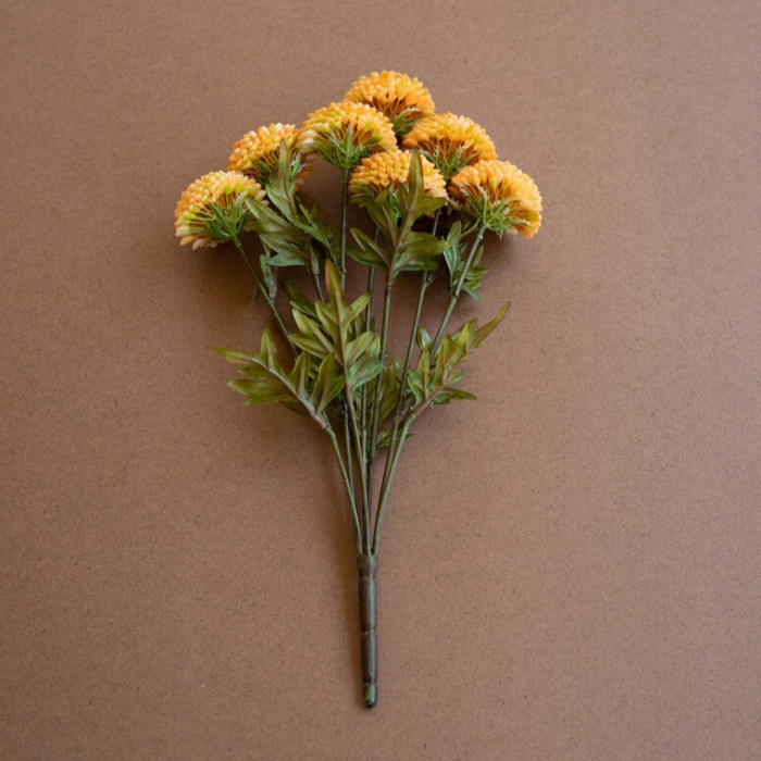 Mustard Ball Dahlias