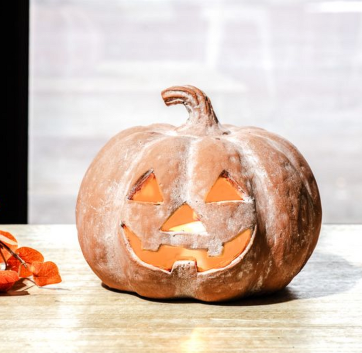 Orange Terracotta Jack-o-lantern Pumpkin 6.5"W