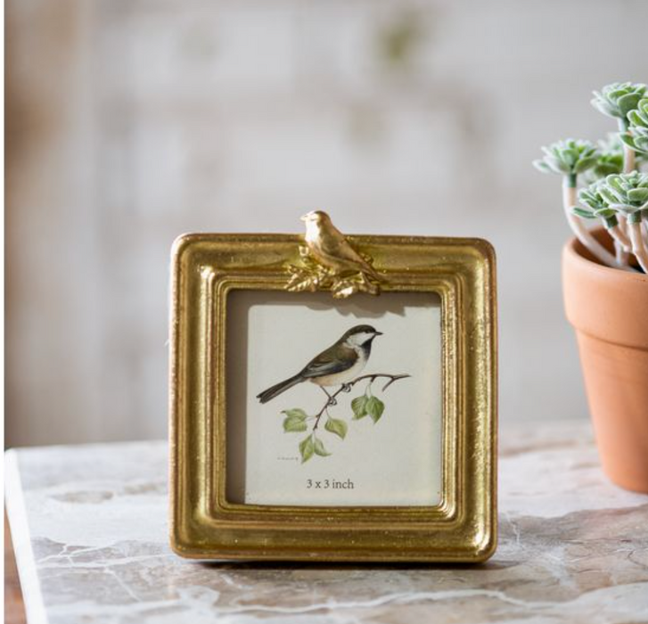 Square Bird Frame 3"