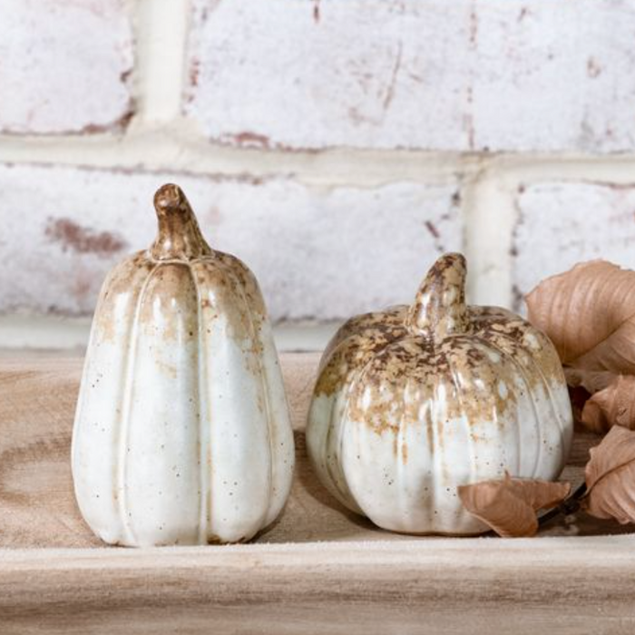 Small Brown Pumpkin + Gourd