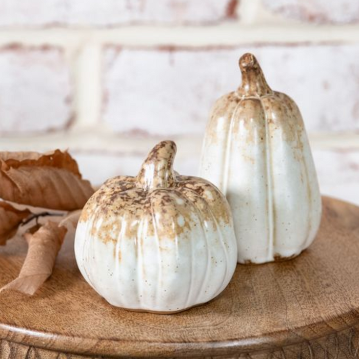 Brown Pumpkin + Gourd