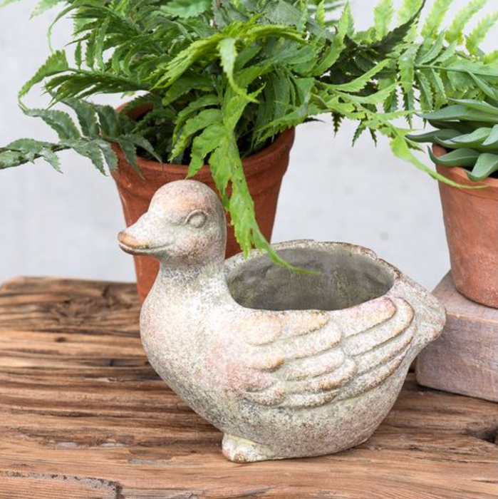 Duck Cement Planter