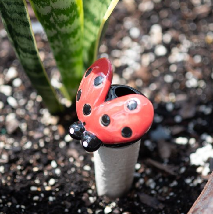 Ladybug Pot Stake