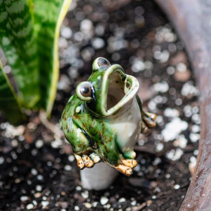 Frog Pot Stake