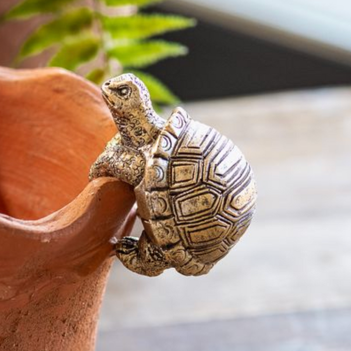 Turtle Pot Hanger