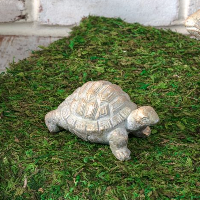 Garden Turtle