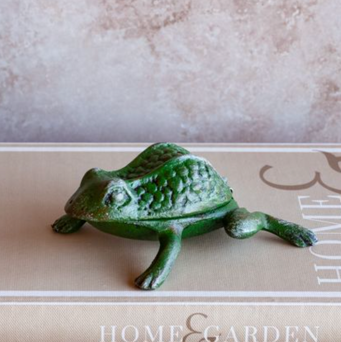 Green Frog Key Holder
