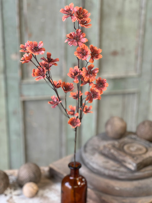 Cosmos Stem | 27" | Rust