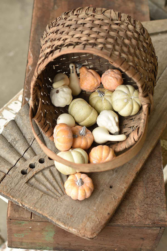 Fall Color Bagged Mini Pumpkins