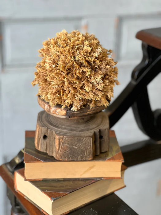 Sungold Half Sphere | 6"