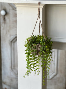 Brentwood Hanging Basket