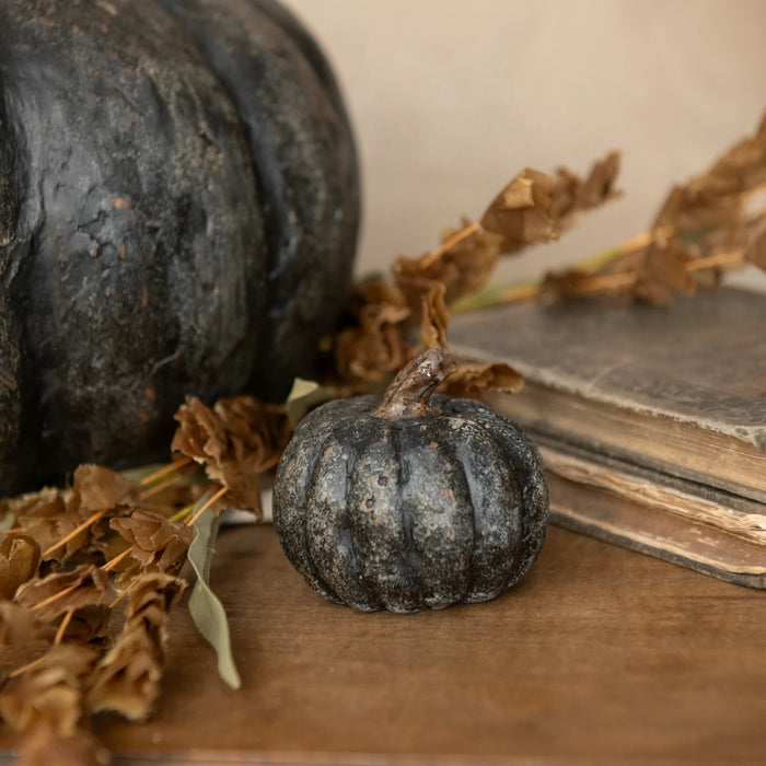 Black Short Pumpkin