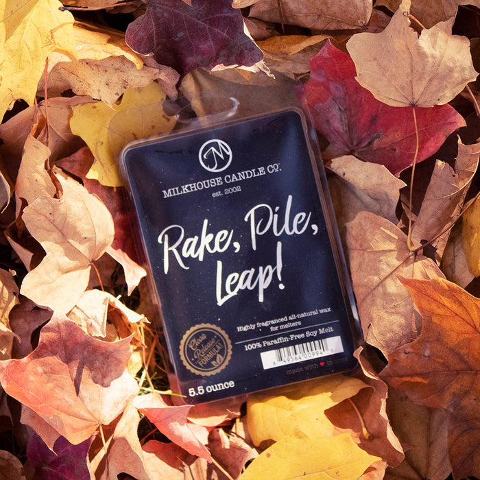 Rake, Pile, Leap! 5.5 oz Wax Melts