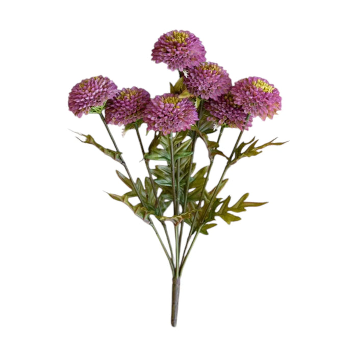 Purple Ball Dahlias