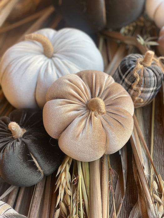 Lrg. Desert Velvet Pumpkin