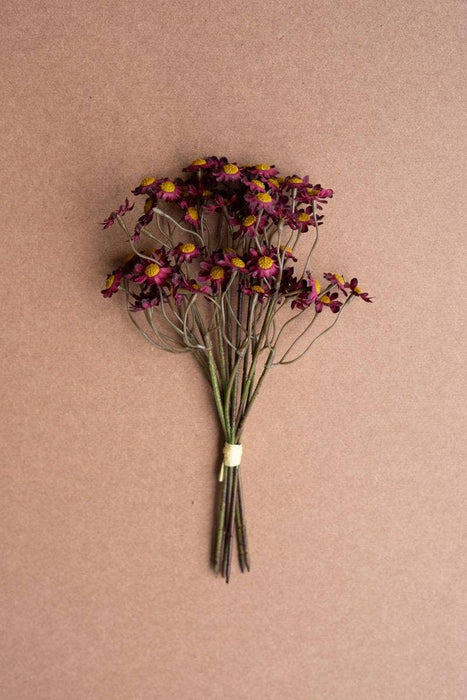 Burgundy Chamomile Bundle