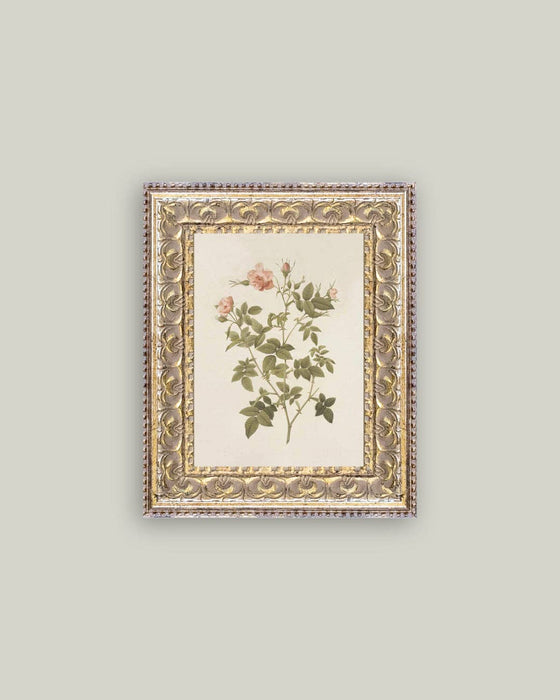 Rosa Framed Antique Art